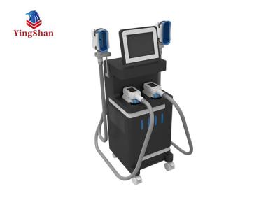 China Professional Cryolipolysis Body Slimming Machine Vertical With 8'' Color Touch Screen for sale