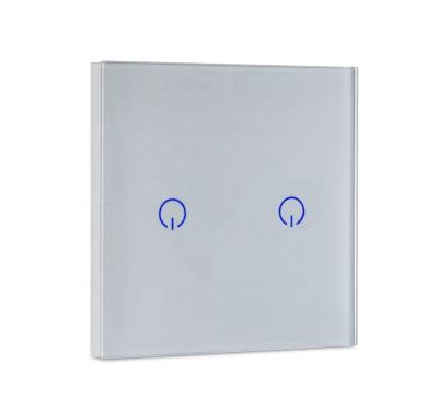 China Good price 2 gang switch commercial/industrial/Hospita/factory smart home general purpose wifi smart switch, smart electrical switch for sale