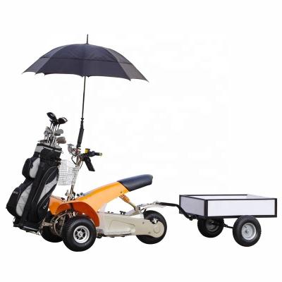 China 3 Wheels 1000W Single Seat 150kgs Electric Golf Cart for sale