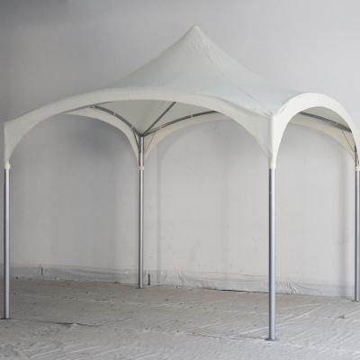 China Sun Shelter Most Popular Outdoor Barbecue Gazebo China Manufacturer for sale