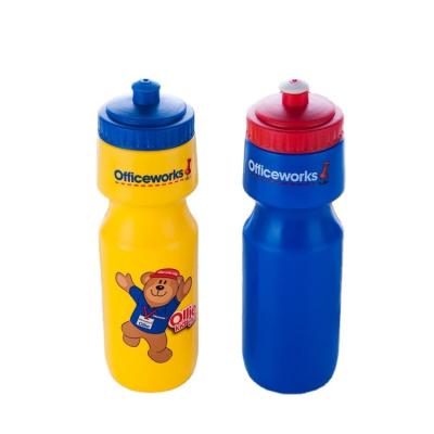 China Sustainable Outdoor Adult Cute Workout Temperature Storage Water Bottle With Lid for sale