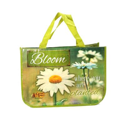 China Wholesale Promotional Reusable Handled Tote Non Woven Bag Laminated Shopping Bag for sale