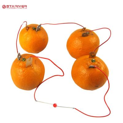 China Science toy fruit battery experiment kit STEM TOY for kids 0098 for sale