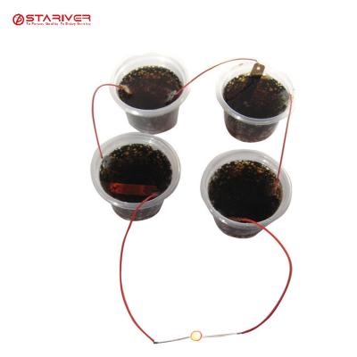 China Other Science Toy Coke Battery Experiment Kit STEM TOY For Kids for sale