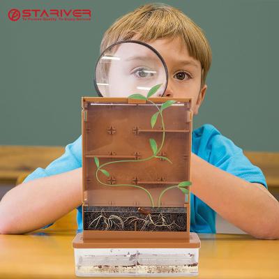 China DIY Toy Set Science Series Plant Science Experiment Physics Growing Toys For Children 001 for sale