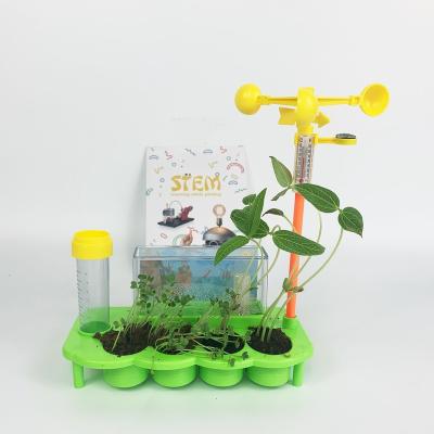 China Earlier Education Plant Growth Toys Science Kits for Home Science Birthday Party for sale