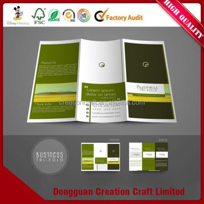 China paper & Cardboard factory direct sale CMYK or pantone color A4 /A5 brochure / brochure supplier for sale