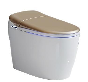 China Automatic Double-Flow One-Piece Strap Smart Toilet with Sensor Seat Electric/Electronic Smart Toilet for sale