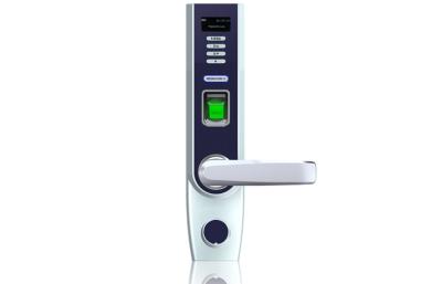 China Biometric Fingerprint Door Lock  for sale