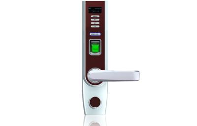 China Electric Keyless Code Fingerprint Door Lock for Door Entry Safety for sale