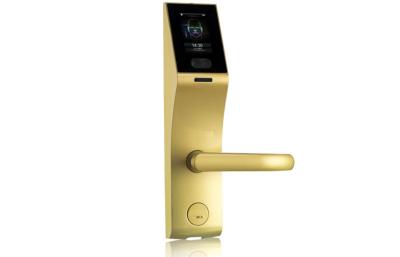 China Biometric Office / Apartment Face Recognition Door Lock / Door access for sale