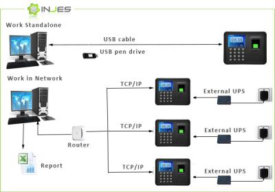 China Sincronización y control de acceso de la huella dactilar de Ethernet de la red con la exhibición de color TFT en venta