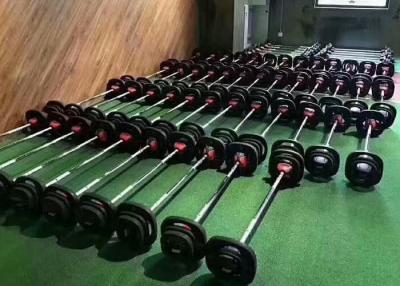 중국 Fitness Barbell Plate Set Crocodile Mouth Body Workout Bar Weightlifting Technique Bar 판매용