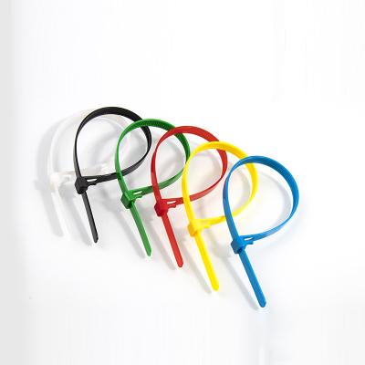 China Different Sizes Releasable Black White Multi Color Nylon Cable Ties Flame Retardant Plastic Cable Ties for sale