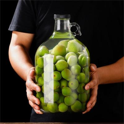 China Wholesale High Quality California Wine/Beverage/Juice/Milk/Food Large Volume Wine Bottle With Handle 1L 2L 3L 4L 5L for sale