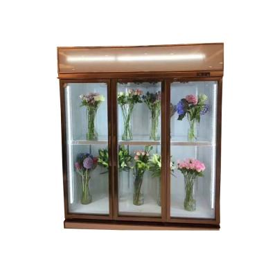 China Single-temperature 3 door supermarket flower bakery glass showcase refrigeration equipment for sale