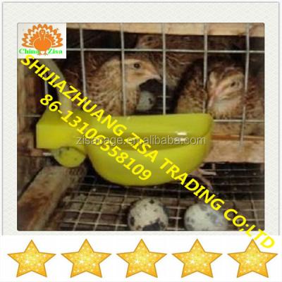 China Quail designs automatic egg quail battery cage suppliers from zisa factory for sale