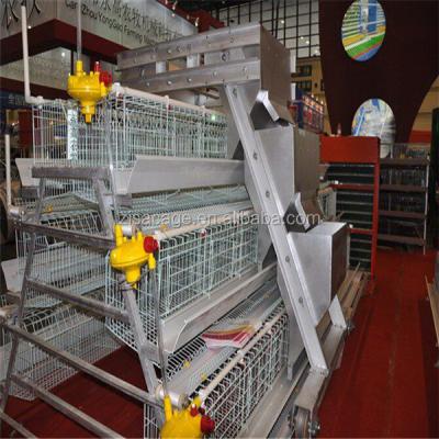 China Easily install hot dip galvanized poultry farm layer cage cheap price from zisa factory for sale