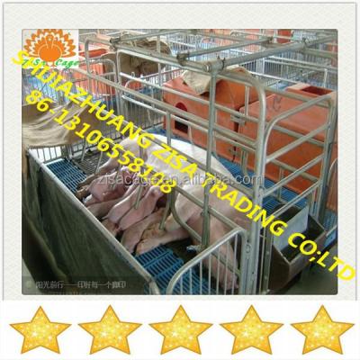 China Easily clean hot sale! pig farm equipment pig gestation feeding cage for sale