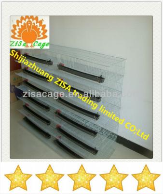 China High quality quail quail cages for sale from china zisa for sale