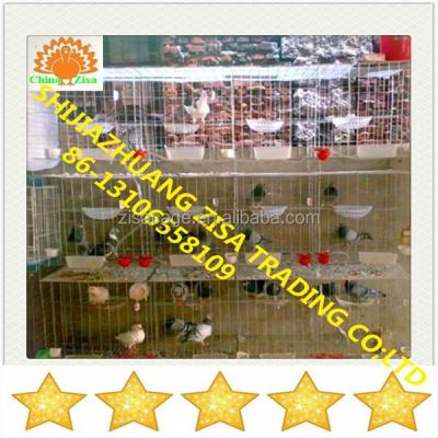 China Cheap Bird Pigeon Breeding Cage for sale