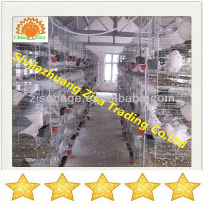 China Bird Pigeon Cages With Nests And Water Drinkers And Rack Box for sale