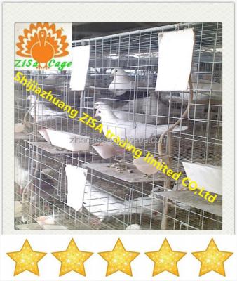 China High Quality Bird Pigeon Cages With Nests And Water Drinkers for sale