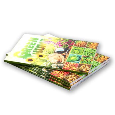 China Business.office.gift .promotion.etc good quality custom printing fashionable catalog brochure booklet magazine for sale