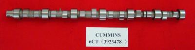 China Cummins 6CT engine camshaft 3923478 for sale