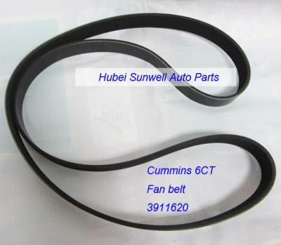 China Cummins 6CT engine V Belt 3911620 Fan belt 8PK 1727 for sale