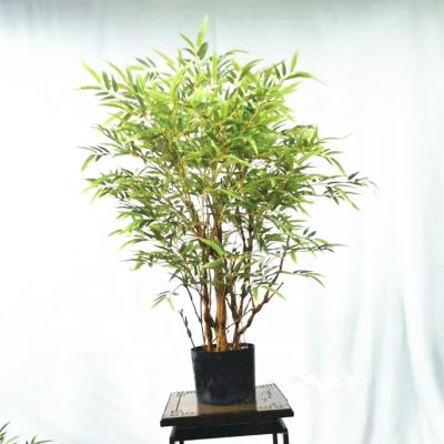 China Wholesale Environmentally Friendly Indoor Fake Bonsai Tree Decoration 8ft 6ft Height Simulation Artificial Bamboo Plants for sale