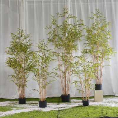 China Wholesale Cheap Minimalist Indoor Landscape Garden Decorative Artificial Bamboo Tree Plant In Pot for sale