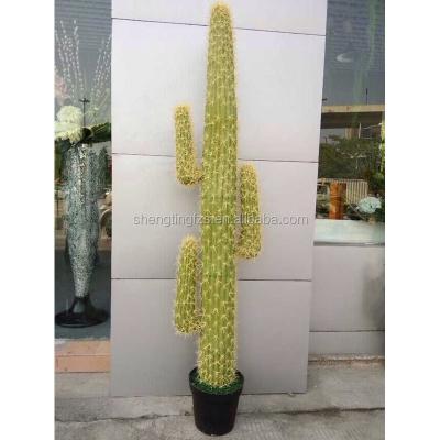 China Wonderful decoration plastic material and artificial high realistic cactus plant for home decor for sale