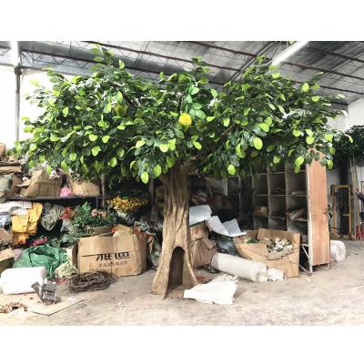 China Large Sizes Plastic Evergreen Cheap Plant Display Window Props For Decoration Artificial Durian Jackfruit for sale