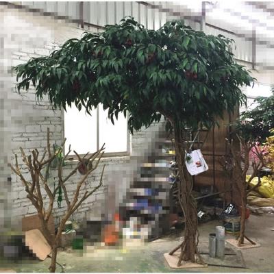 China Large Fake Apple Plant Wooden Artificial Lychee Decorative Evergreen Mango Window Props Display Window Fruit Tree For Sale for sale