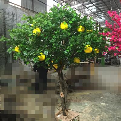 China Home Decorative Evergreen Display Props Artificial Fake Plant Bonsai Fruit Grapefruit Apple Mango Tree For Sale for sale