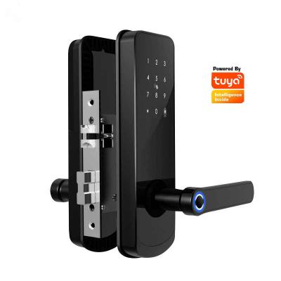 China Home Electronic Smart Fingerprint Password Smart Digital Door Lock For Hotel F1F for sale