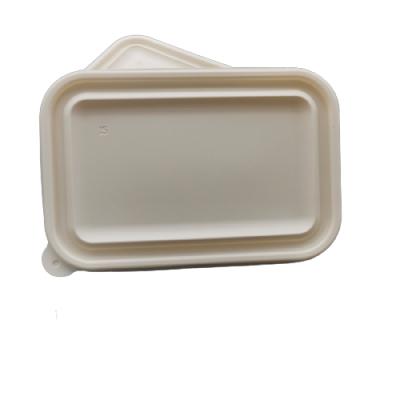 China Stocked Chinese Manufacturers Sell Takeaway Food Box Environmental Friendly Packaging for sale