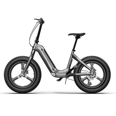 China Aluminum alloy adult ebike in 48v electric bicycle with fast speed/20' mountain bike electric bicycle 48v 10AH folding electric bike bicycle for sale