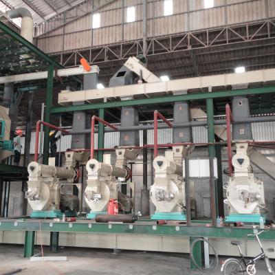 China Factory 1 Ton Per Hour Biomass Wood Pellet Production Line / Sawdust Wood Pellet Machine Line for sale