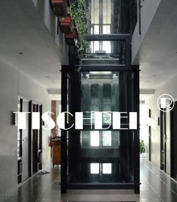 China 1.75m/s Tractie Panoramische Lift Met Haarlijn St St Voor Hotel Gebouw Kantoor Winkelcentrum Te koop