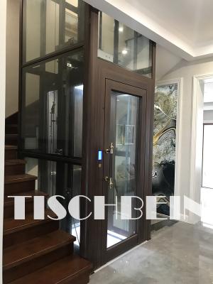 Κίνα Germany Technique Gearless Compact Design 300kg-450kg Home Villa Elevator 304 Καμπίνα από ανοξείδωτο ατσάλι EN81 Χειροκίνητη πόρτα προς πώληση