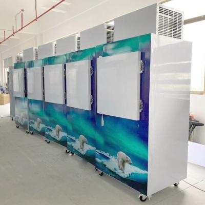 China Single-Temperature Single Solid Door Custom Outdoor Cold Storage Bagged Deep Ice Cube Freezer for sale