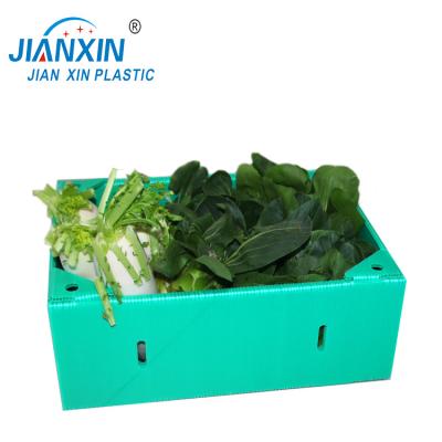 China High Quality Recycled Materials Factory Custom Corrugated Plastic Vegetable Box for sale