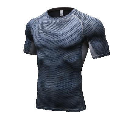 China OEM Compression Stretch Sleeve Sports Custom Gym T-shirt Quick Dry Short Sleeve Fitness Clothing for sale