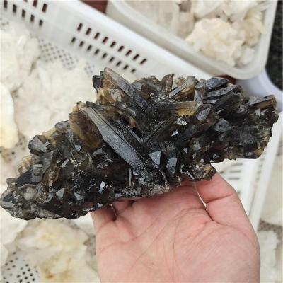 China Europe Crystal Clusters Smoky Black Quartz Natural Wholesale Crystal Cluster For Crafts Raw for sale