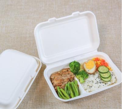 China Sugar Cane 2 Compartment Clamshell Biodegradable Eco Friendly Food Packaging Tableware Take Out Box for sale