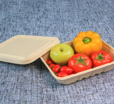 China Biodegradable Disposable Bamboo Pulp Material Microwave Eco-friendly Safe Take Our Lunch Bento Paper Box for sale