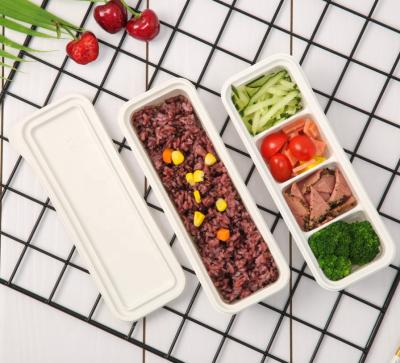 China Disposable Disposable Bento Box Plastic Food Container With Compartment for sale