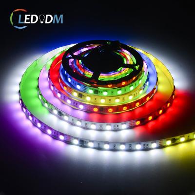 China Indoor& Outdoor Decoration 12V RGB Custom Accessible Digital Led Strip Light SM2818 60eds SMD5050 Led Pixel Strip Outdoor Programmable Strip Light for sale